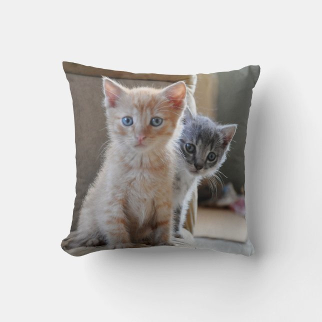 Curious Kittens Throw Pillow (Front)