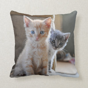 Curious Kittens Throw Pillow