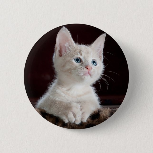 Curious kitty 2 inch round button (Front)