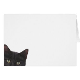 Curious Kitty Digital Painting