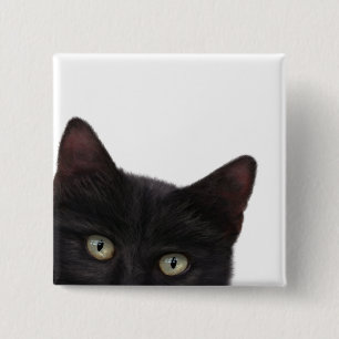 Curious Kitty Digital Painting 2 Inch Square Button