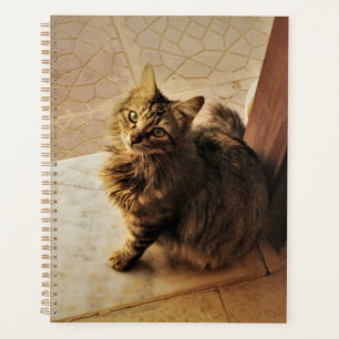 Curious Kitty Notebook Planner