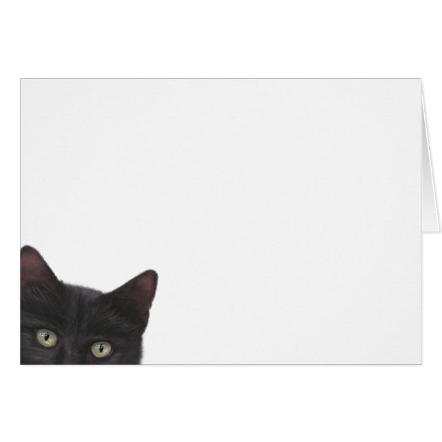 Curious Kitty peinture numérique (Devant horizontal)