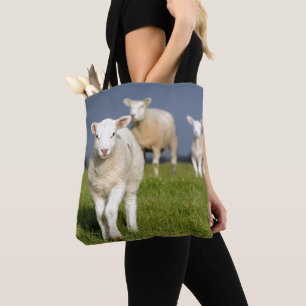Curious Lamb Tote Bag