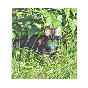 Curious little kitten notepad