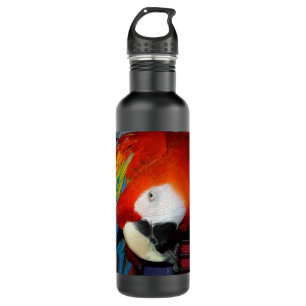 Curious Macaw 710 Ml Water Bottle