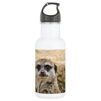 Curious Meerkat 532 Ml Water Bottle
