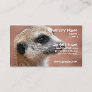 Curious Meerkat Business Card