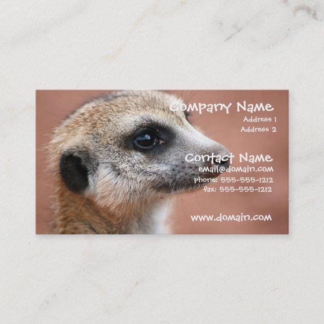 Curious Meerkat Business Card (Front)