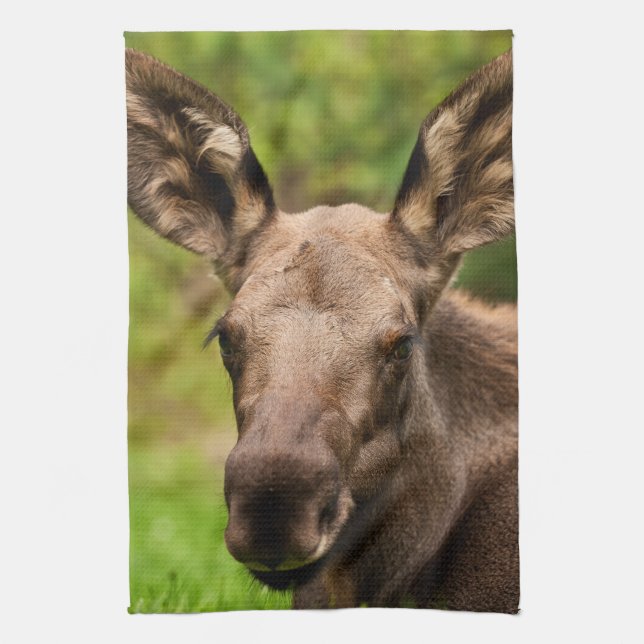 Curious Moose Kitchen Towel (Vertical)