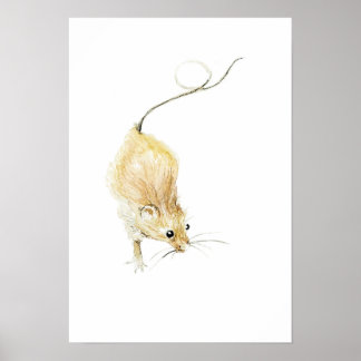 Curious Mouse Print