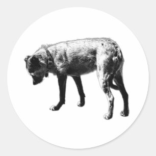 Curious Nose Terrier Mix Sticker