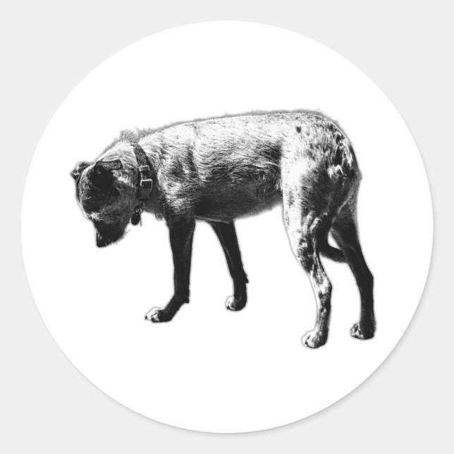 Curious Nose Terrier Mix Sticker (Front)