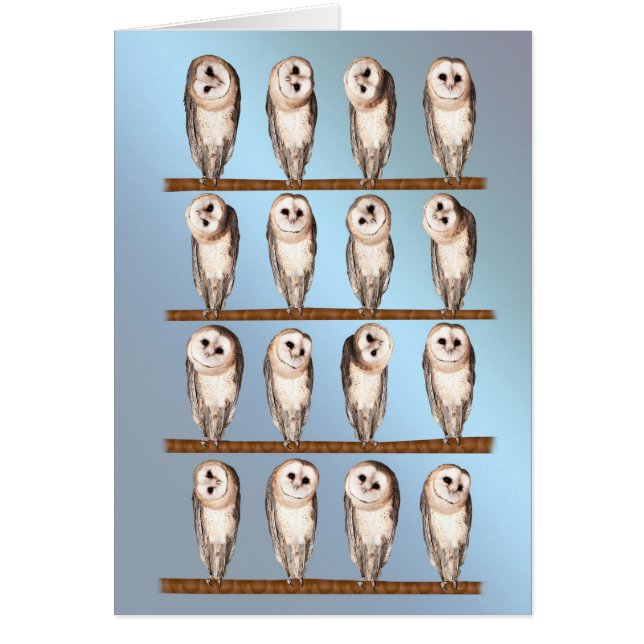 Curious owls blank card. (Front)