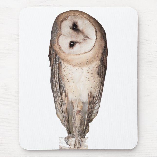 Curious owls card. mouse pad (Front)
