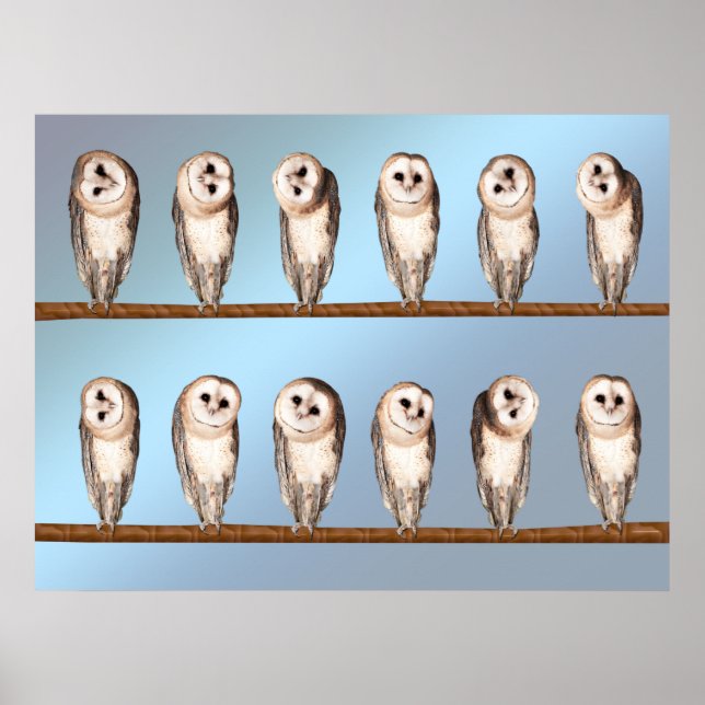 Curious owls poster (Front)