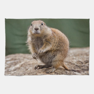 Curious Prairie Dog Kitchen Towel