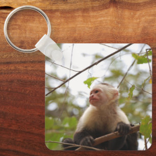Curious Primate, White-Faced Capuchin Keychain