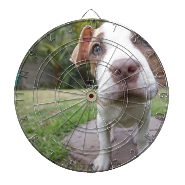 Curious Puppy Dartboard (Front)