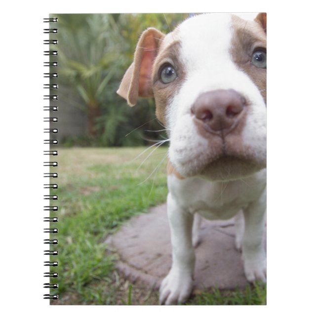 Curious Puppy Notebook (Front)