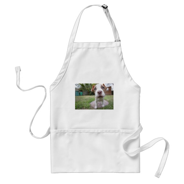 Curious Puppy Standard Apron (Front)
