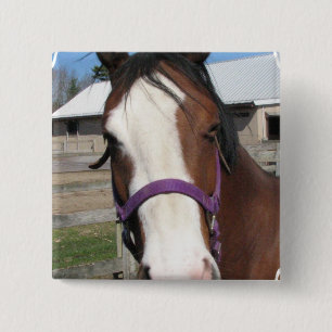 Curious Quarter Horse Square Pin