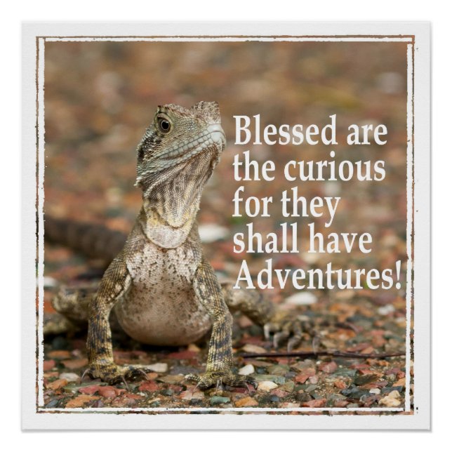 Curious Quote Poster (Front)