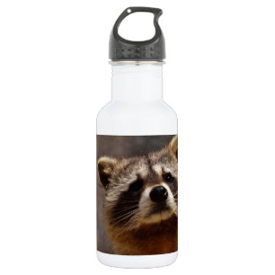 Curious Raccoon 532 Ml Water Bottle