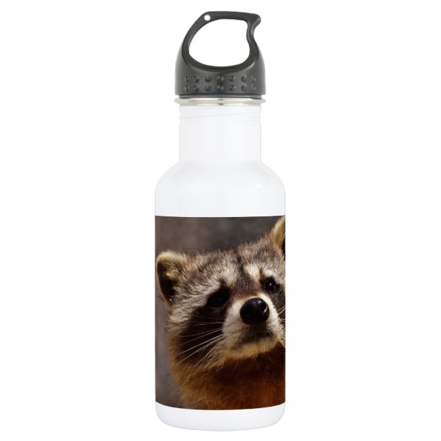 Curious Raccoon 532 Ml Water Bottle (Front)