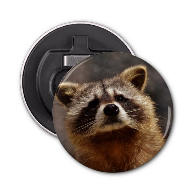 Curious Raccoon Bottle Opener (Front)