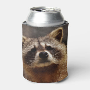 Curious Raccoon Can Cooler