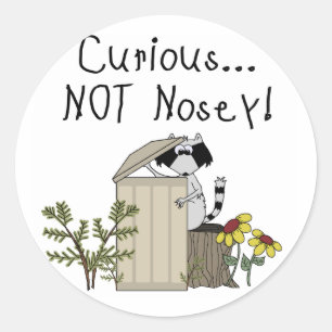 Curious Raccoon Classic Round Sticker
