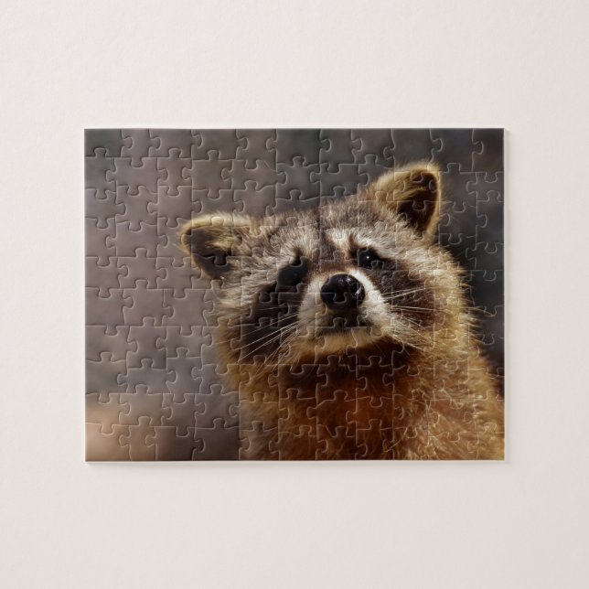 Curious Raccoon Jigsaw Puzzle (Horizontal)