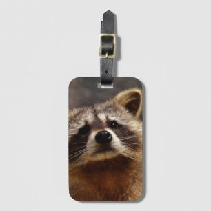 Curious Raccoon Luggage Tag