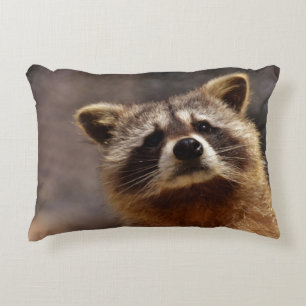 Curious Raccoon Photo Accent Pillow