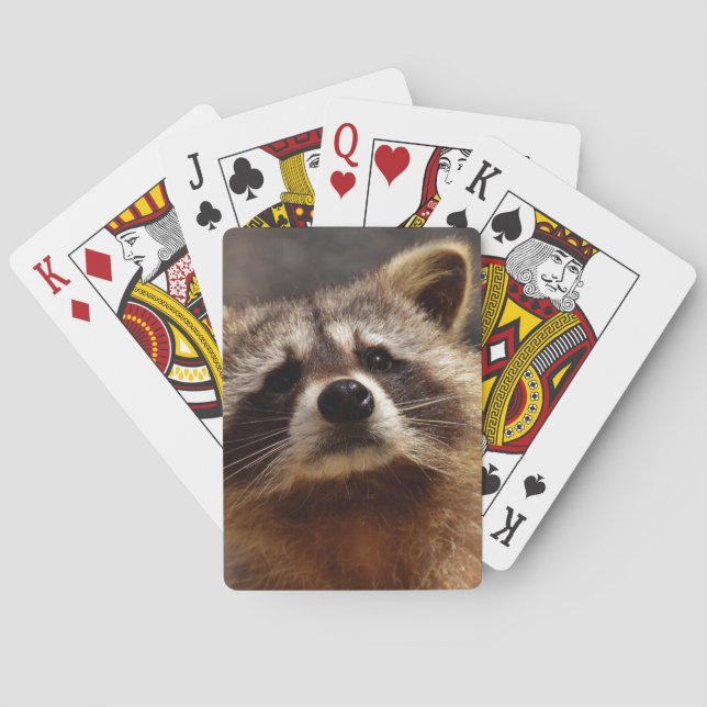 Curious Raccoon Playing Cards (Back)