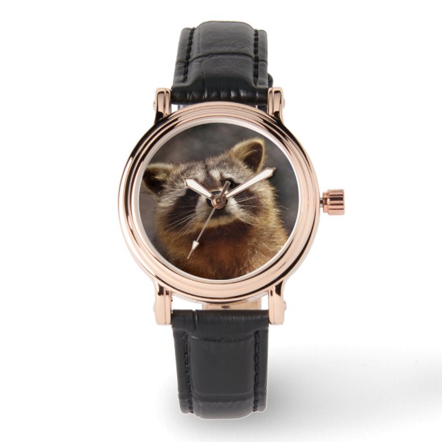 Curious Raccoon Watch (Front)