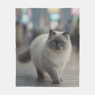 Curious Ragdoll Cat Blanket