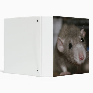 Curious Rat Binder