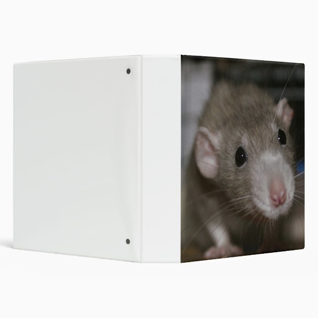 Curious Rat Binder (Background)