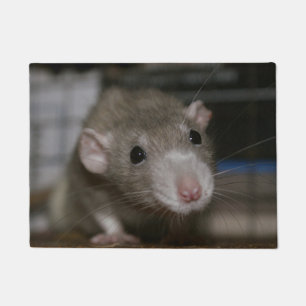 Curious Rat Doormat