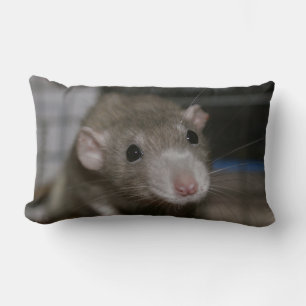 Curious Rat Lumbar Pillow