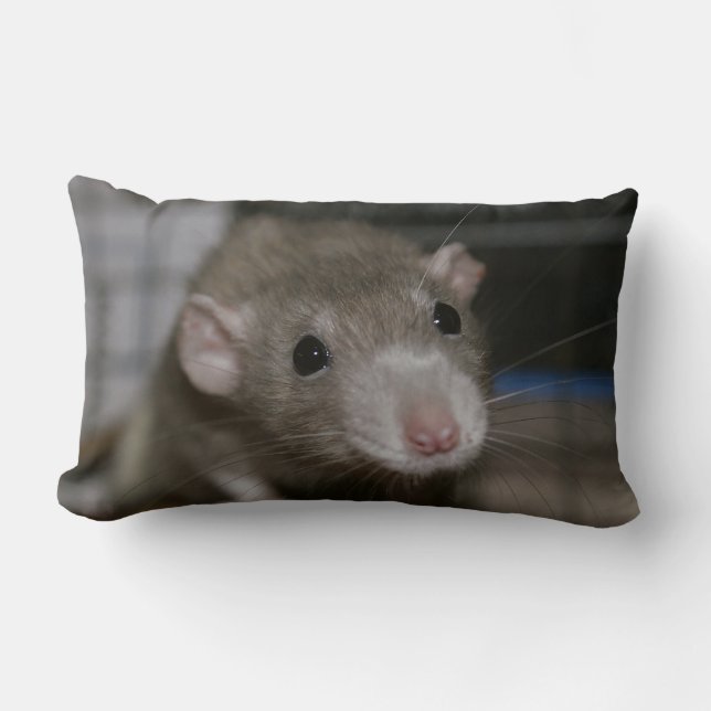 Curious Rat Lumbar Pillow (Front)