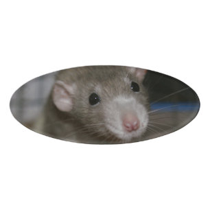 Curious Rat Name Tag