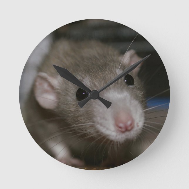 Curious Rat Round Clock (Front)