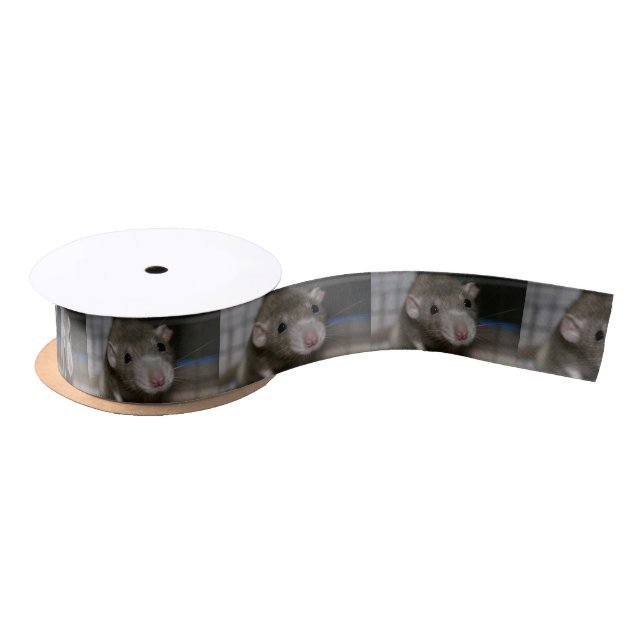 Curious Rat Satin Ribbon (Spool)