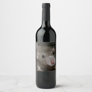 Curious Rat Wine Label