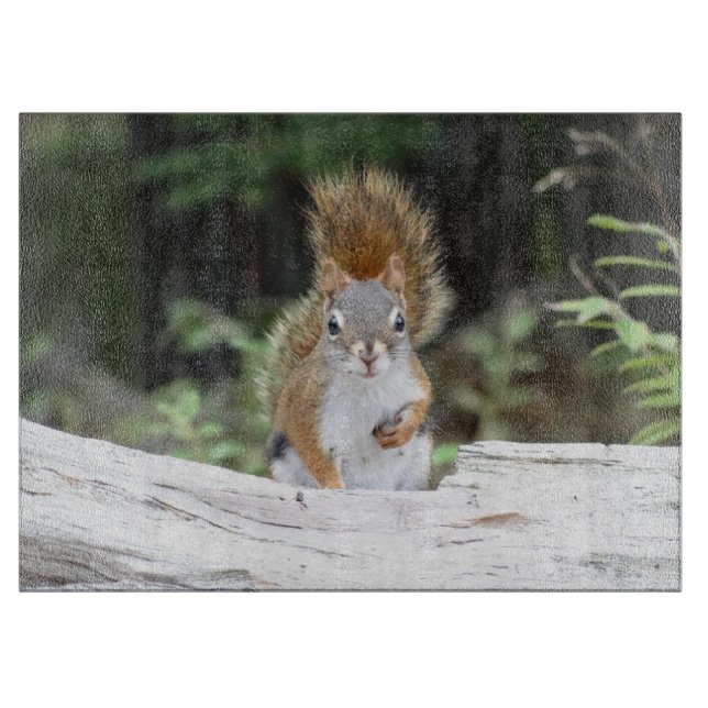 Curious Red Squirrel Cutting Board (Front)