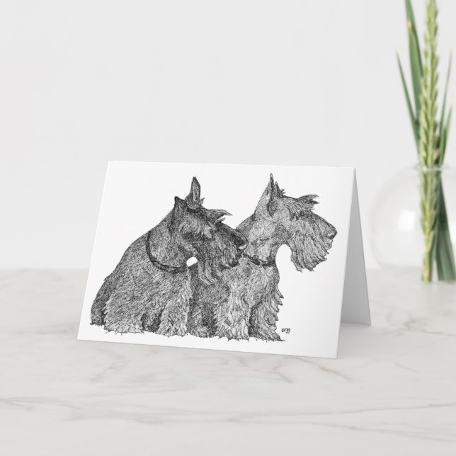 Curious Scottish Terriers Pen & Ink Sketch Card (Front)