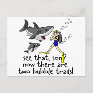 Curious Sharks Postcard